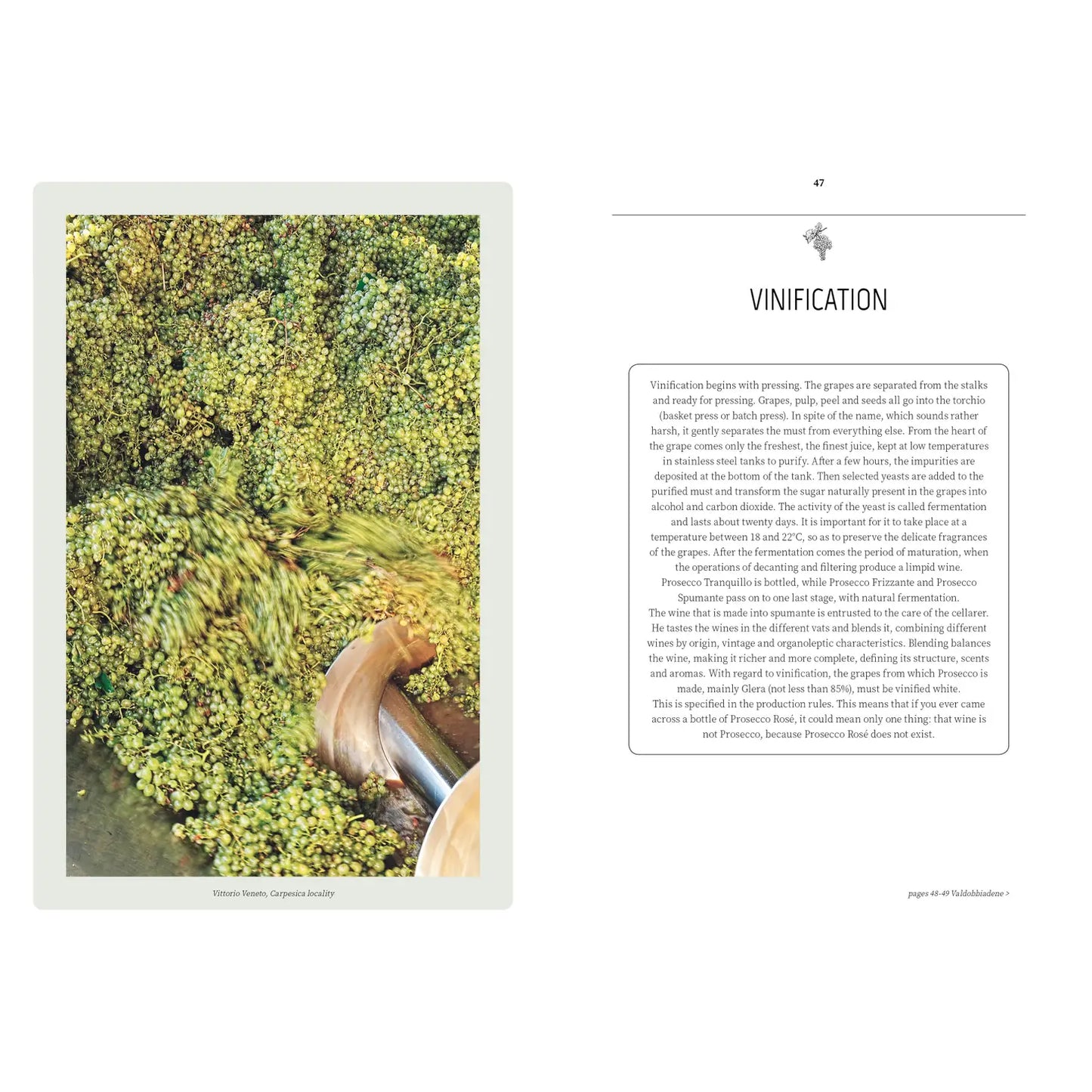 Book, Prosecco & Spritz