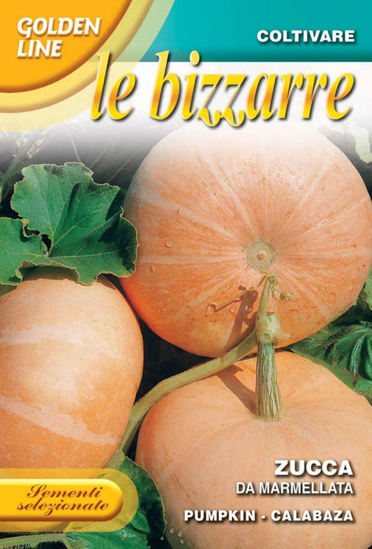 Franchi Pumpkin Seed