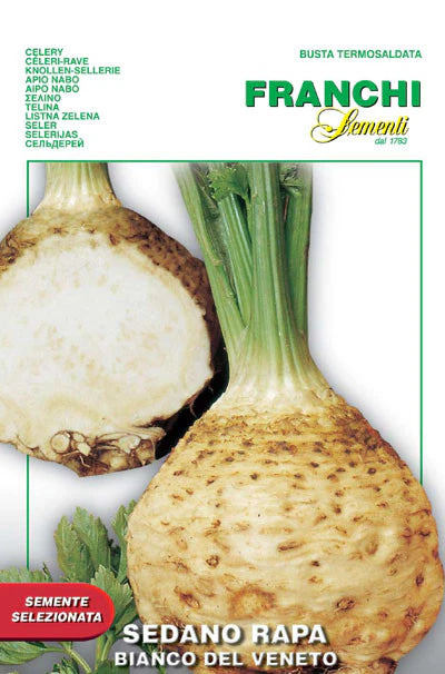 Franchi Celeriac