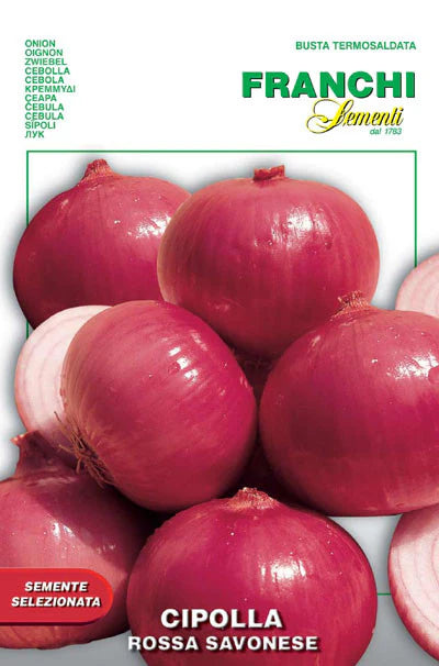 Franchi Seed red onion
