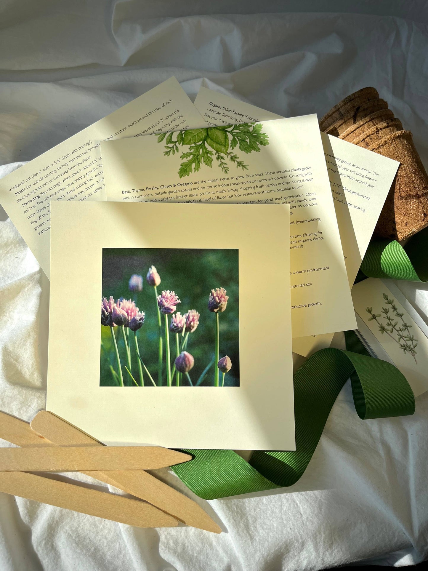 Culinary Herb Garden Box