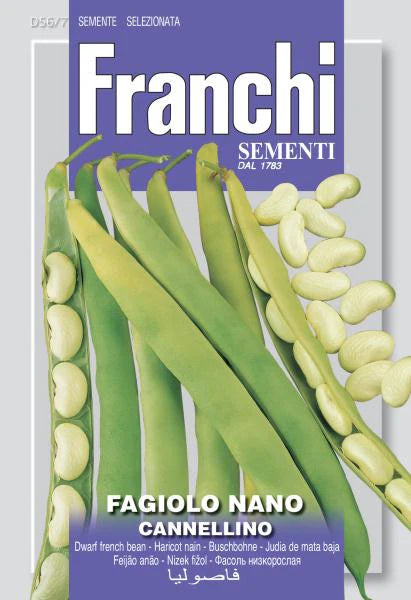 Franchi Cannellini bean